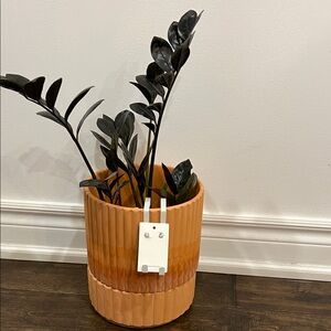 Banana Republic Rhinestone Studs